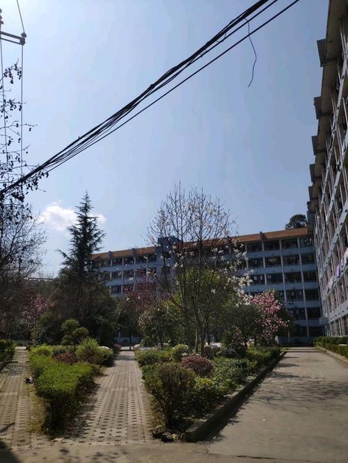 身為貴州電子信息職業(yè)技術(shù)學(xué)院即將畢業(yè)的學(xué)生，我想說說貴州信息科技的那些事兒